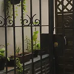 The Backpacker Cat Hostel
